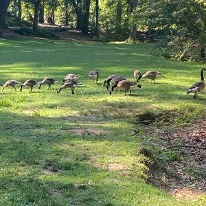 Meet your Posher, Cynthia